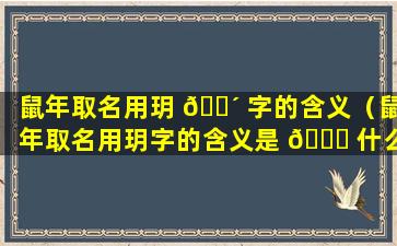 鼠年取名用玥 🌴 字的含义（鼠年取名用玥字的含义是 🐞 什么）